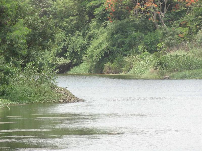 Godavari Ghats